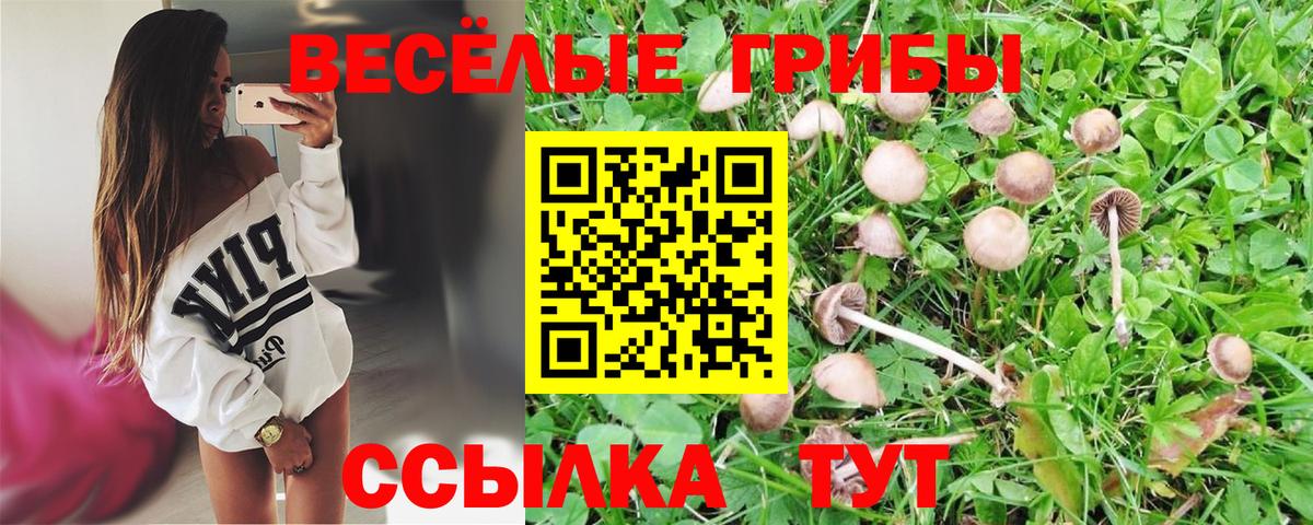 Alpha PVP СК кристаллы  ГАШИШ  МАРИХУАНА  Cocaine  Вход с VPN  Азов  Меф МЯУ МЯУ   МЕТ 